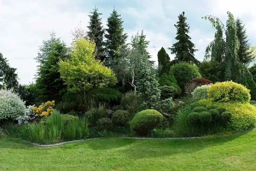 Landscaping Fairfield