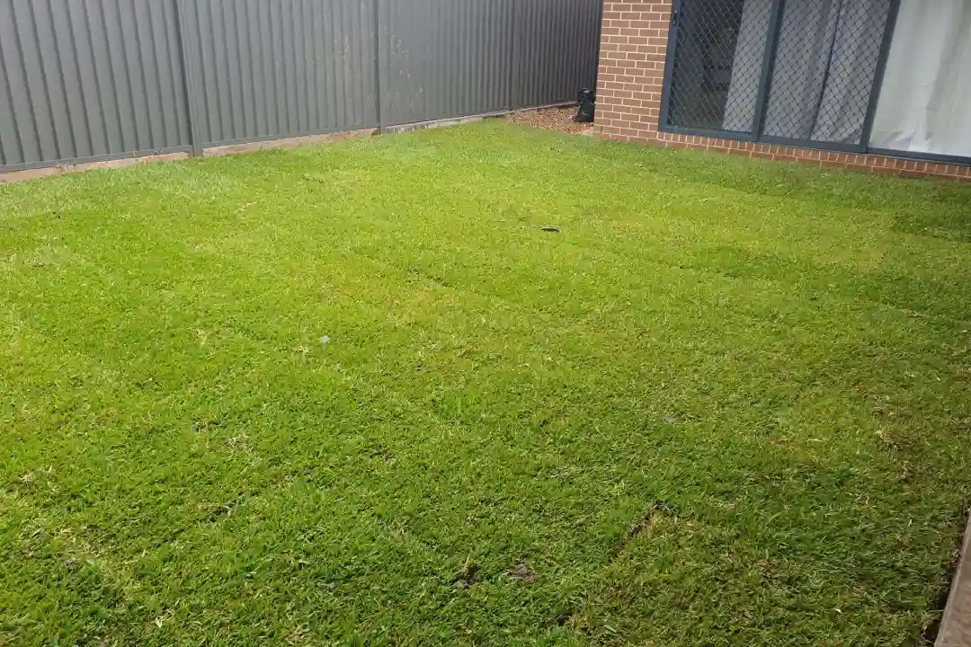 Landscaping Minto