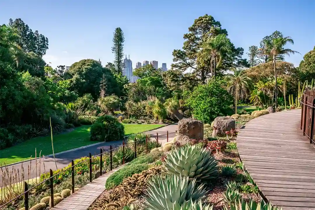Landscaping Ingleburn